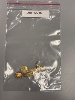 50% desconto Lote 12215 COD. 18776 Abertura em breve Jóias Pingentes e alfinete