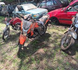 JTZ/DK150 2020/2021