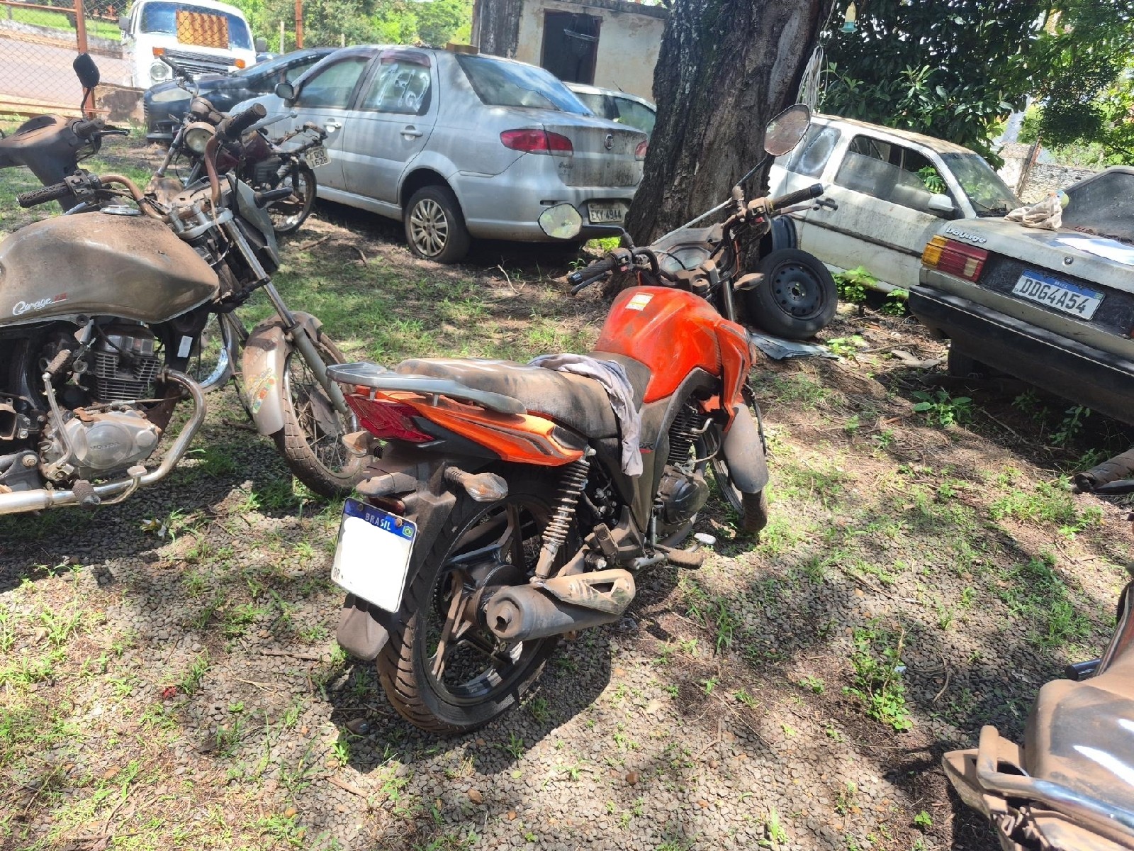Foto 2: JTZ/DK150 2020/2021