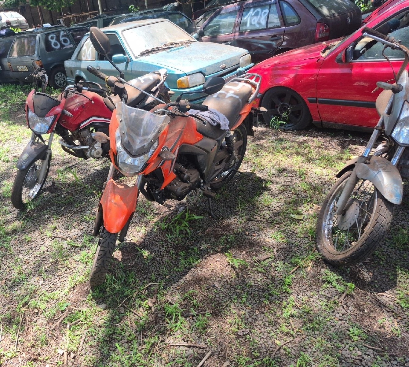 Foto 9 de 20: JTZ/DK150 2020/2021
