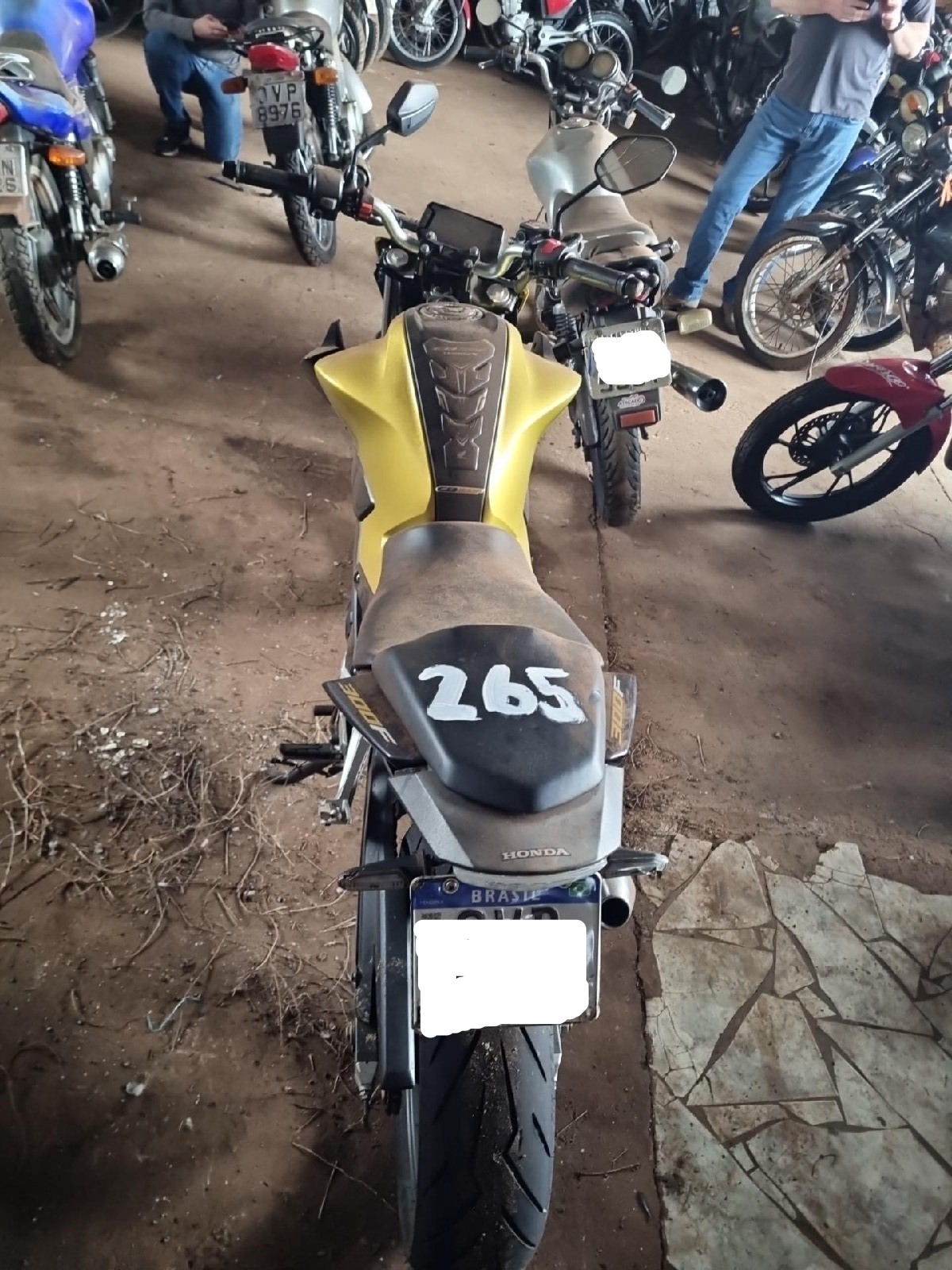 Foto 3: HONDA/CB 300F TWISTER ABS 2024/2024