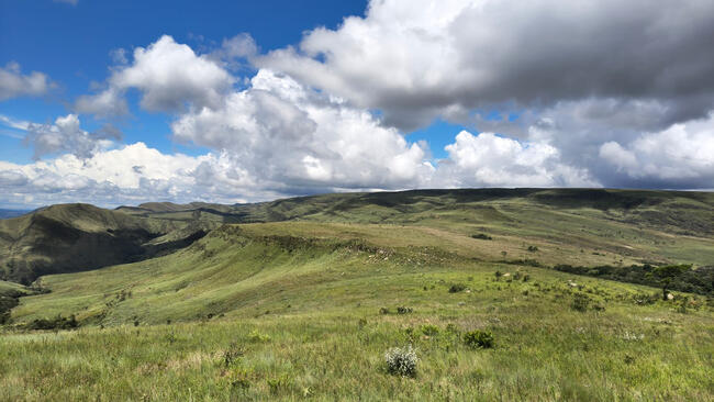 Fazenda Canteiros em Passos/MG