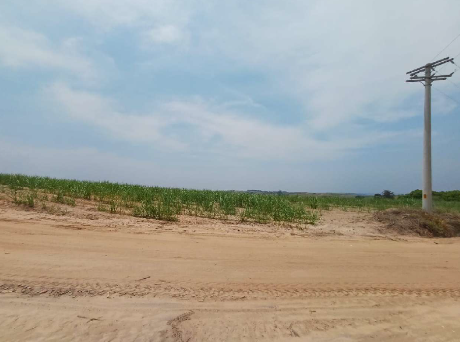 Capa do leilão ID 4271