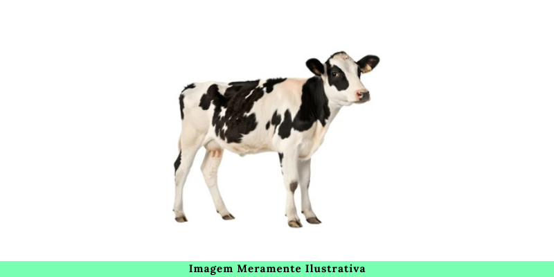 Capa do leilão ID 4280