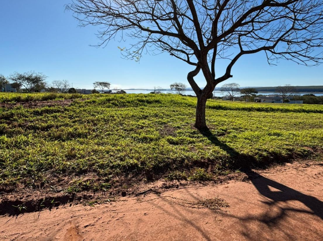 Capa do leilão ID 4395