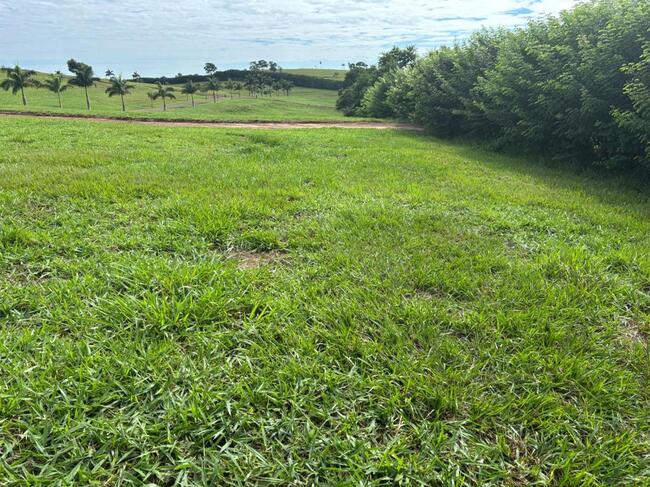Terreno no loteamento Terras de Santa Cristina – Gleba II