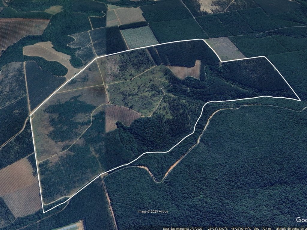 Capa do leilão ID 10