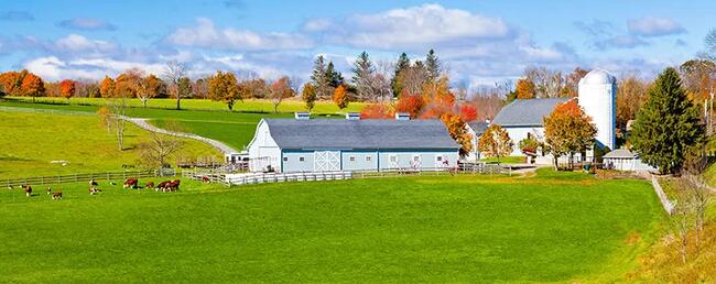 Uma GLEBA DE TERRAS - Fazenda Santa Maria- com área desmembrada de 2,42,00has