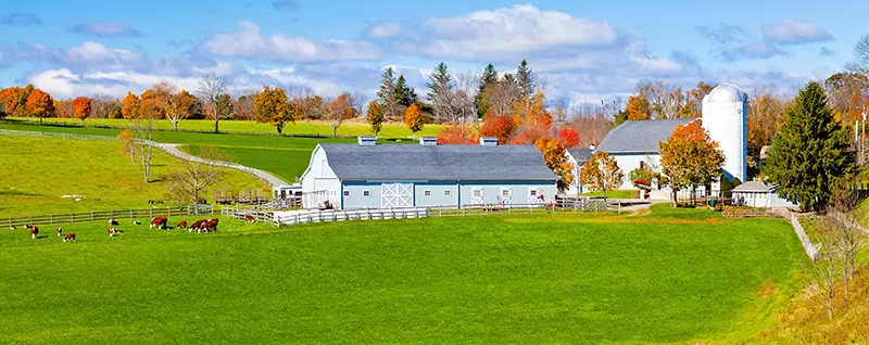 Capa do leilão ID 2