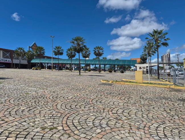 Imagem 8
