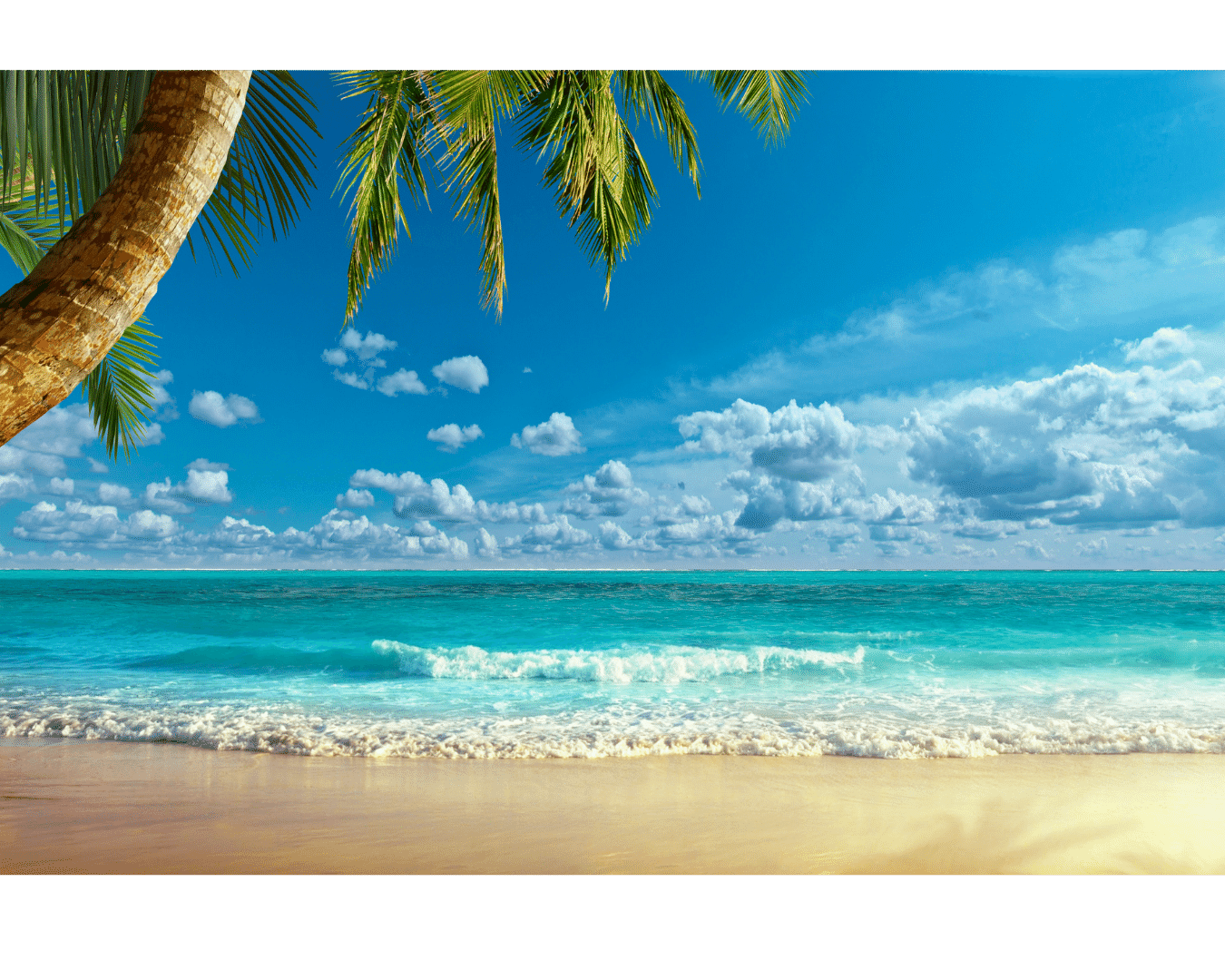 Capa do leilão ID 14