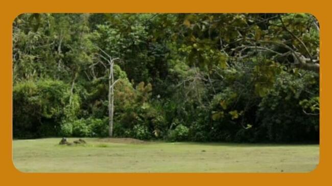 Lote nº 01 com 10.500,00 m2 no Loteamento denominado ZVR-I, situado na Fazenda Santa Rita do Bracuí, Angra dos Reis/RJ