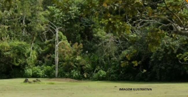 Lote nº 02 com aprox. 10.335m2 no Loteamento denominado ZVR-I, situado na Fazenda Santa Rita do Bracuí, Angra dos Reis/RJ