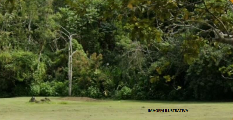 Capa do leilão ID 445