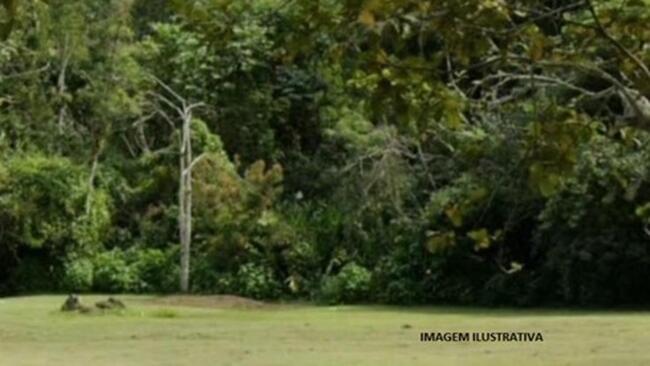 Lote de terreno nº 41 com com área total de 566,30m2 em Mangaratiba/RJ