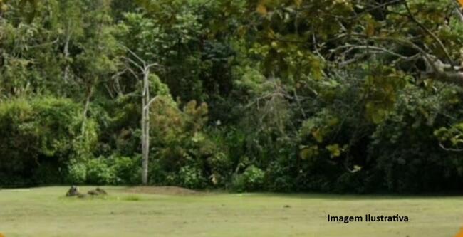 Lote 18 da quadra 35 do Loteamento Cidade Balneária do Pontal, Angra Dos Reis/RJ.