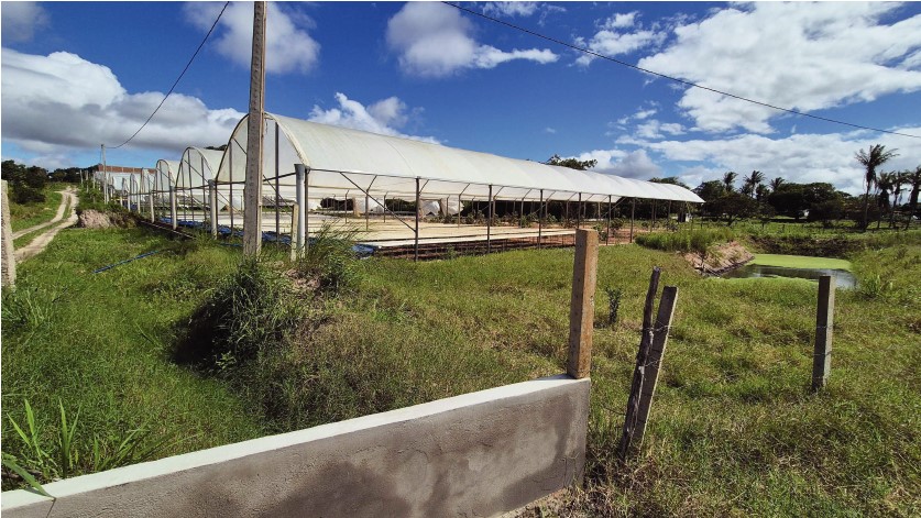 1/4 DE UMA PARTE DE TERRA SITUADA NO LUGAR COVÃO - leilão judicial - Não informado PB - lance mínimo R$ 300.000