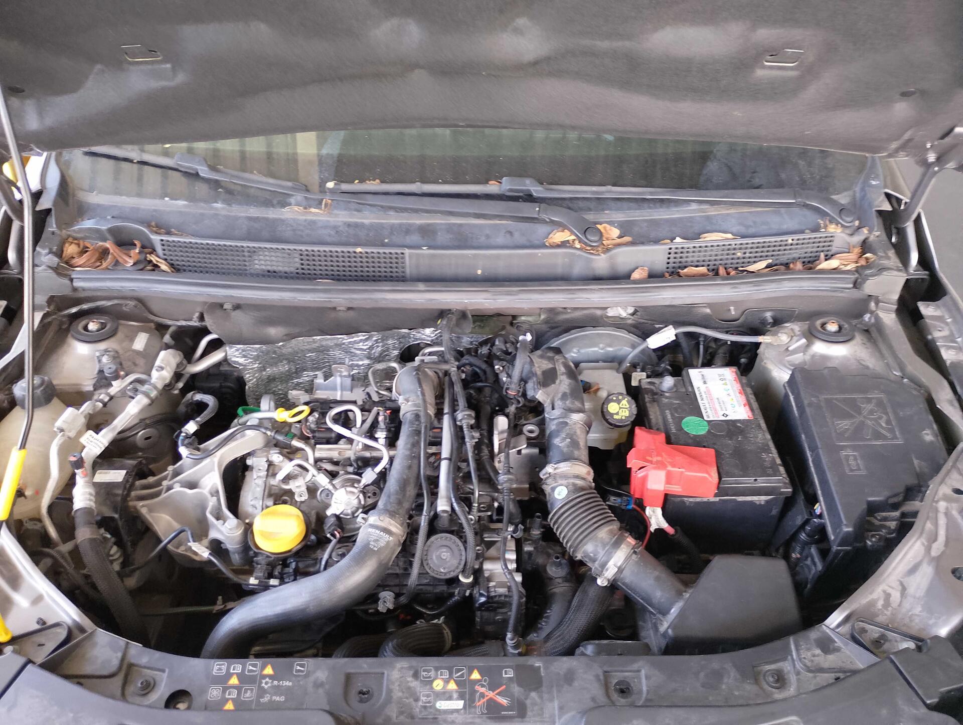 RENAULT / KARDIAN EVOLUTION 1.0 12V TB (AUT.) FLEX 2024/2025 — foto 13 de 40