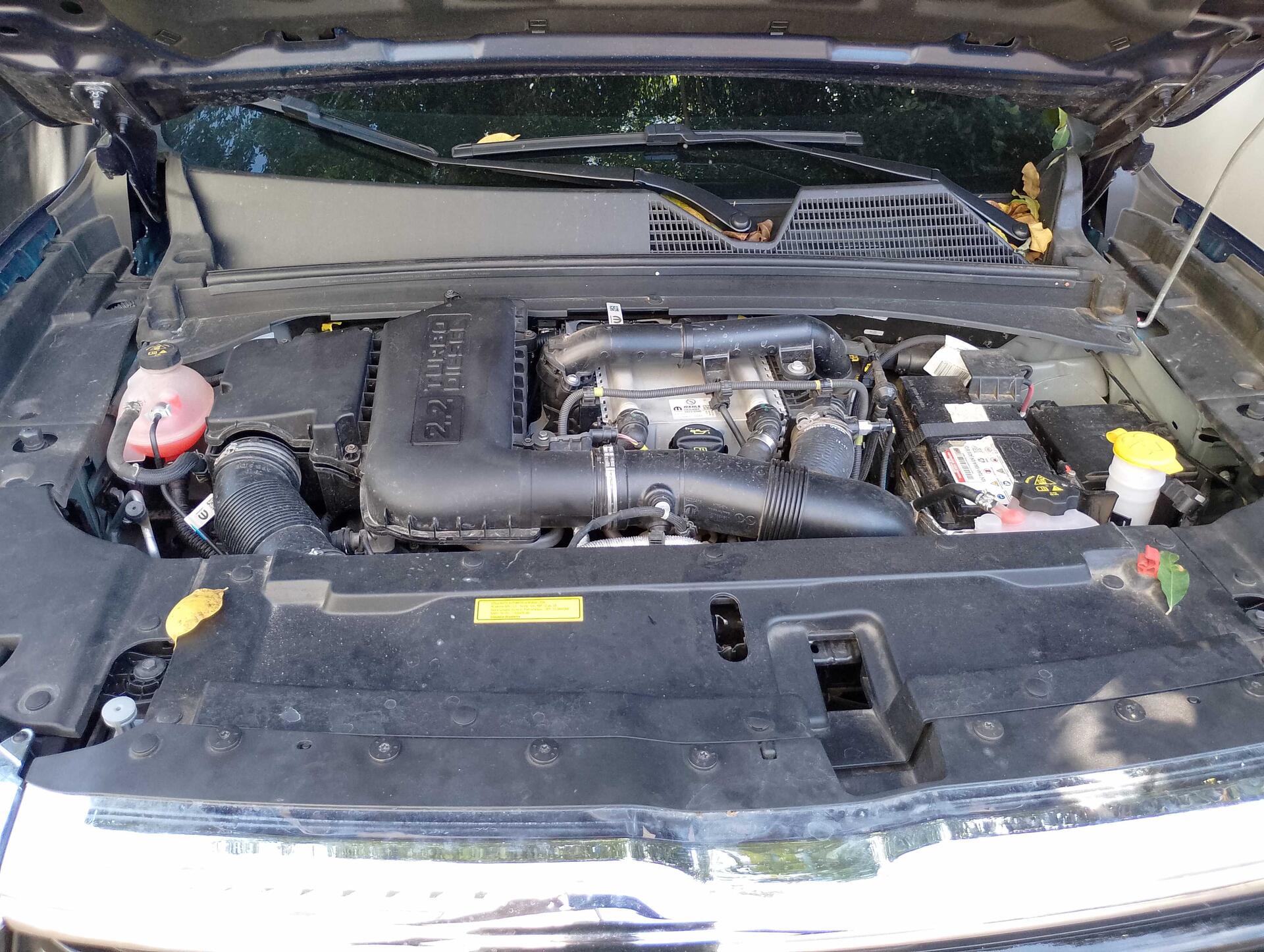 RAM / RAMPAGE BIGHORN DS 2025/2025 — foto 3 de 40