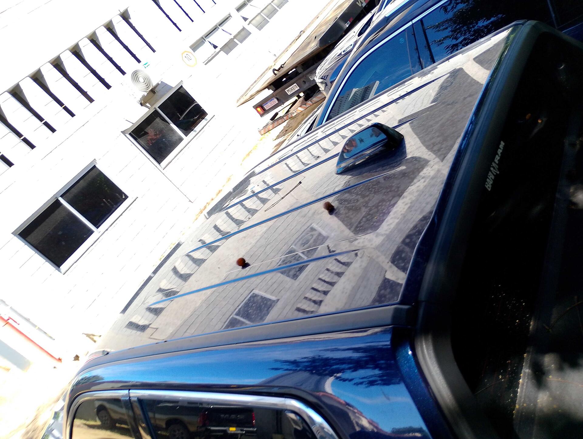 RAM / RAMPAGE BIGHORN DS 2025/2025 — foto 13 de 40