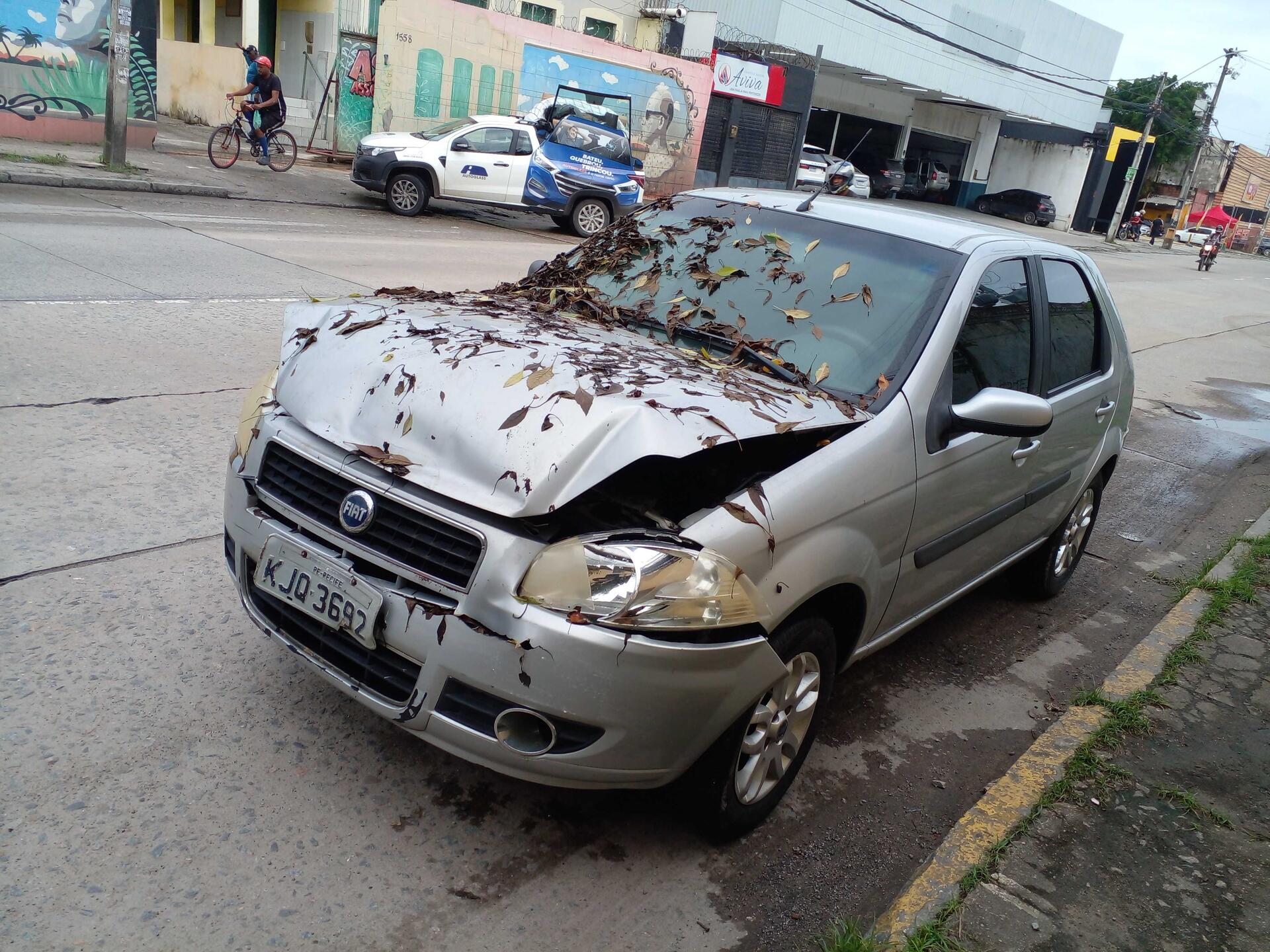 FIAT / PALIO ELX FLEX 2008/2008 — foto 9 de 39