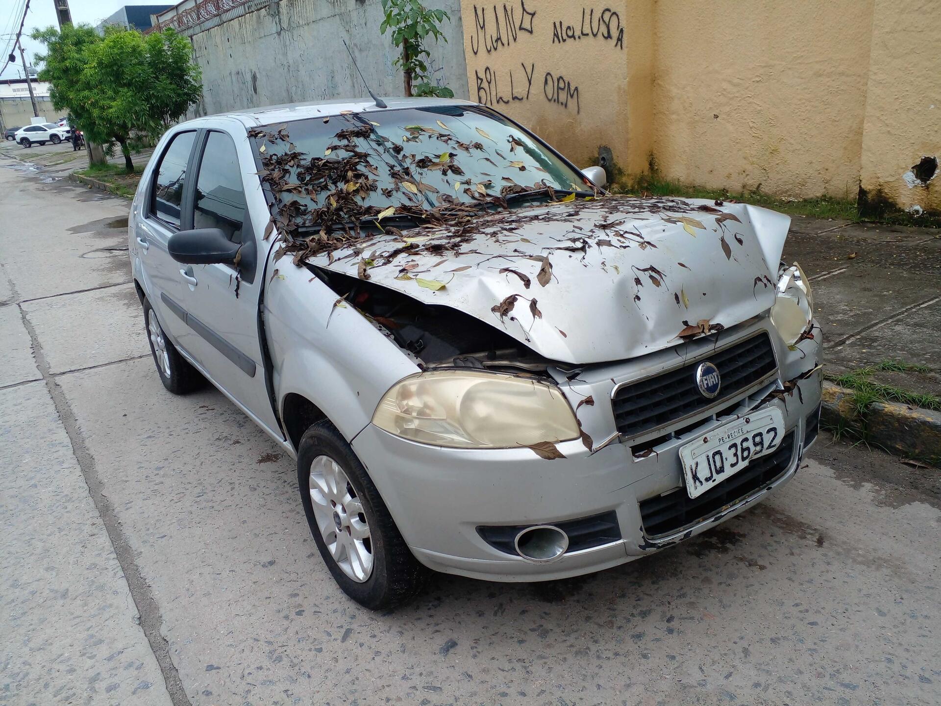 FIAT / PALIO ELX FLEX 2008/2008 — foto 10 de 39