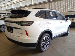 GWM / HAVAL H6 PHEV19 1.5 AUT HIBRIDO