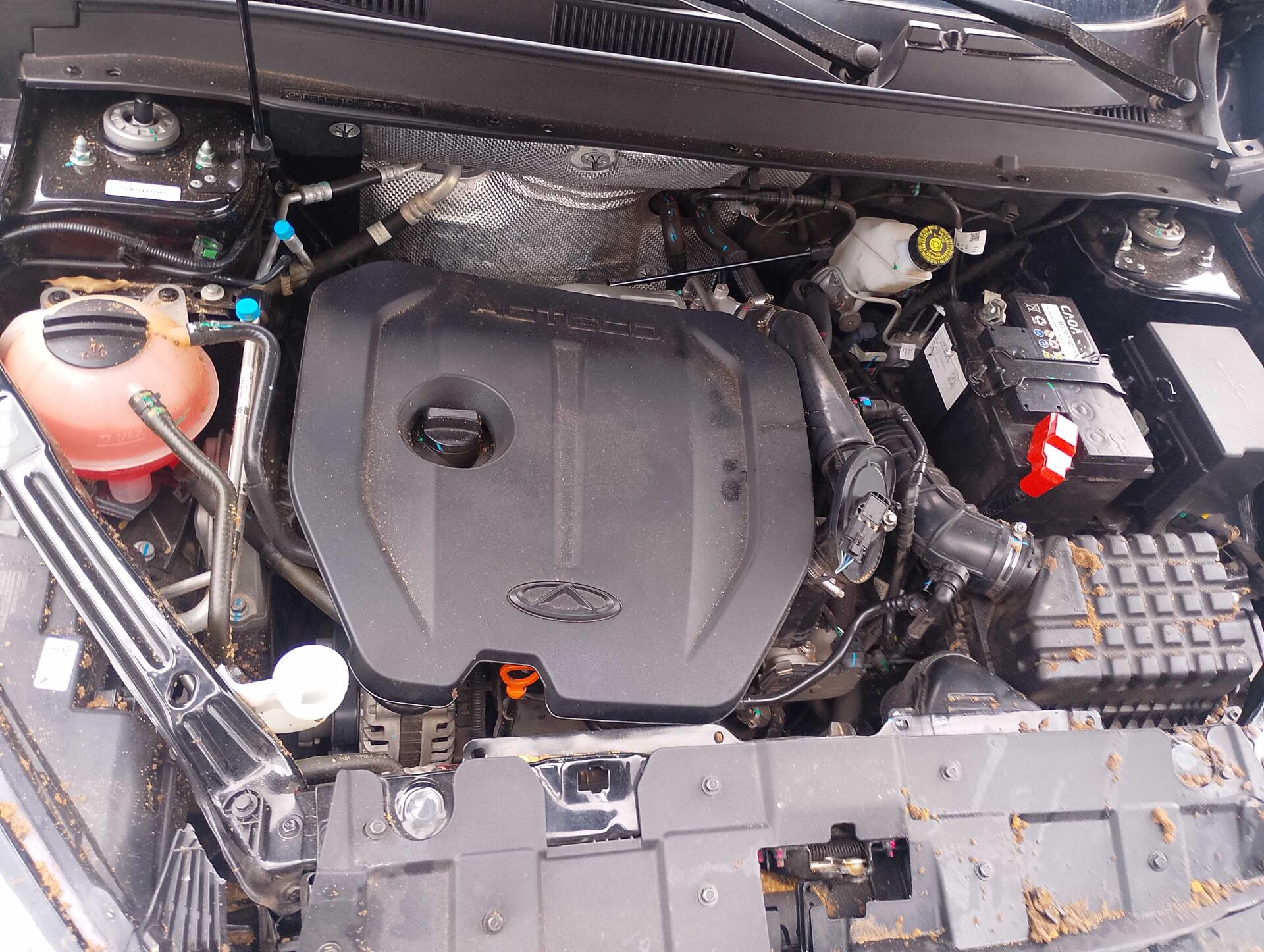 CAOACHERY / TIGGO7 SPORT FLEX 2024/2025 — foto 8 de 33