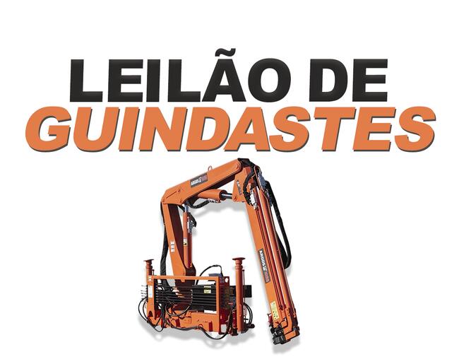 LEILÃO DE GUINDASTES (MUNCKS)