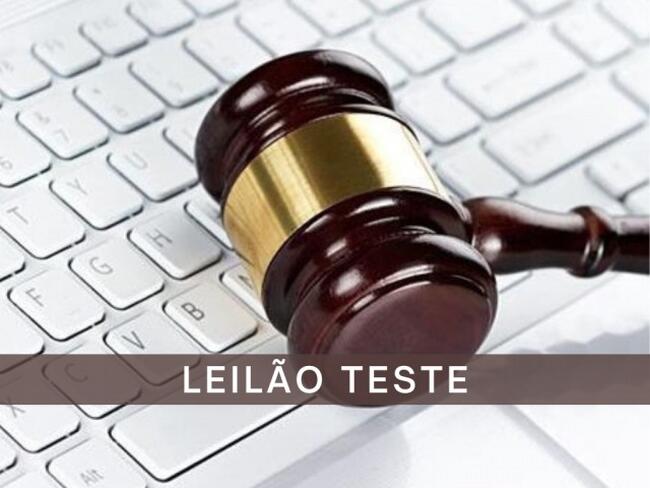 LEILÃO TESTE