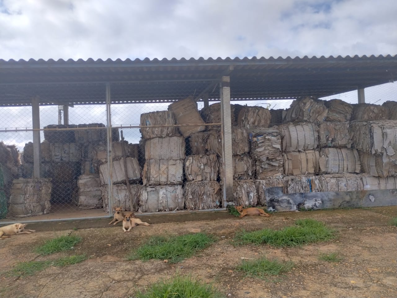 Capa do leilão ID 97