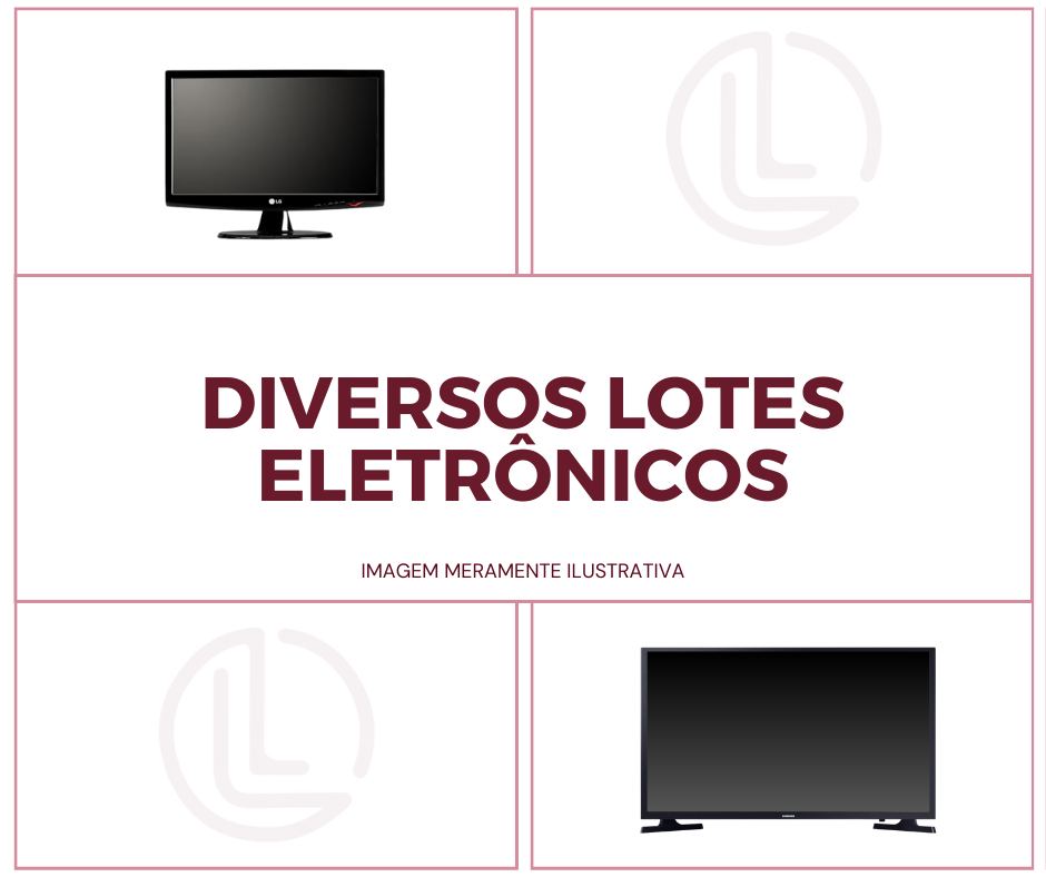 Capa do leilão ID 13