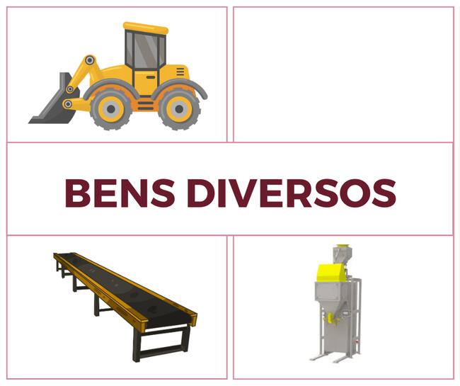 BENS DIVERSOS - ENSACADEIRA, PÁ CARREGADEIRA e ESTEIRA DE TRANSFERÊNCIA
