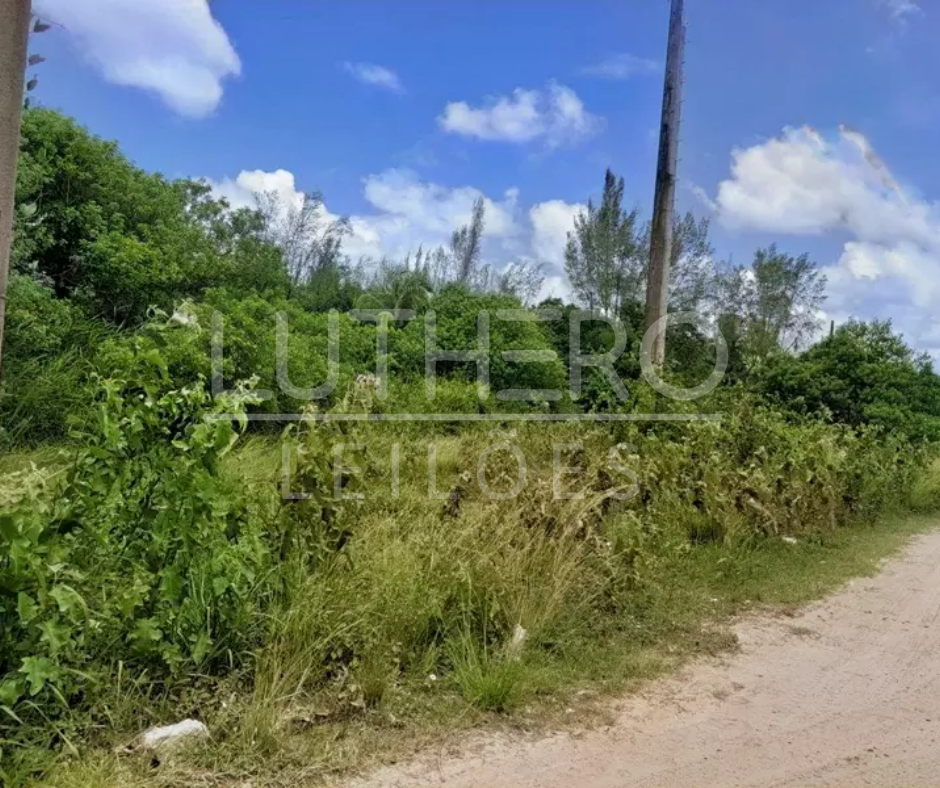 Capa do leilão ID 265