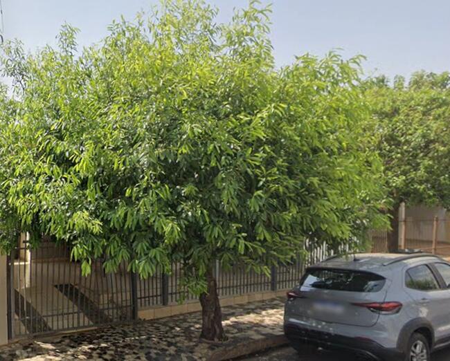 20% DA PARTE IDEAL DE UMA CASA, A.T 269,70m², Potirendaba/SP