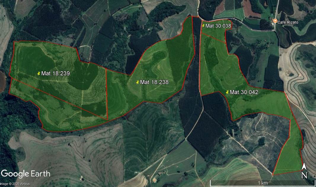 Capa do leilão ID 341