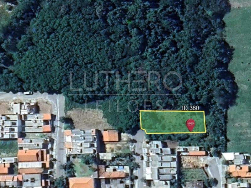 Capa do leilão ID 360