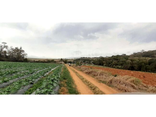 IMÓVEL RURAL, A.T 12,10hec, para plantio, Fazendinha, Salto de Pirapora/SP