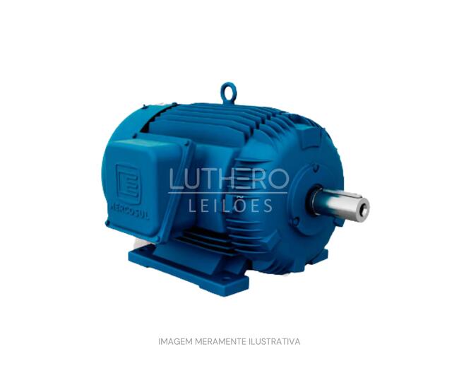 Um Motor Elétrico 30v, 880RPM, 220/380 Trifásico, Marca EBERLE em funcionamento