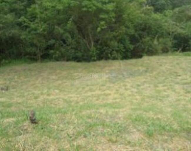 Terreno No Lotea. Residencial Dos Lagos C/500,15m² Em Cotia/sp (direitos Decorrente), localizado em Cotia - SP
