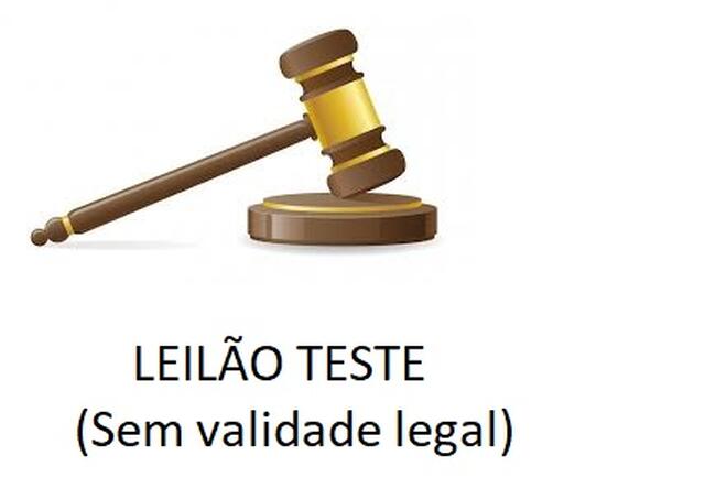 LEILÃO TESTE PARA ARREMATANTES