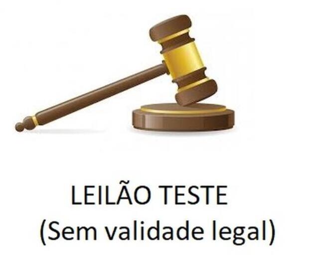LEILÃO EXTRAJUDICIAL ( TESTE)