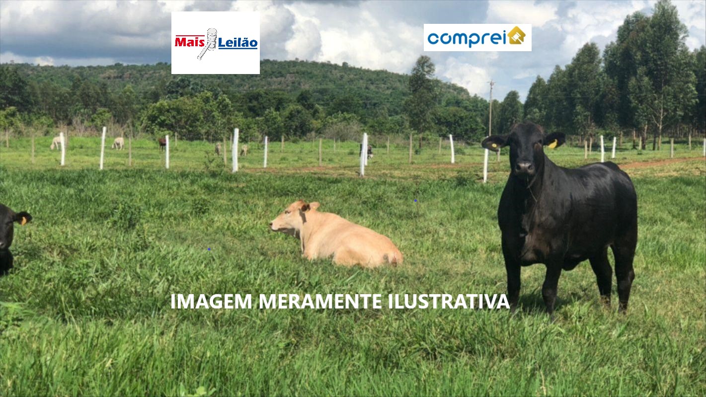 Capa do leilão ID 244
