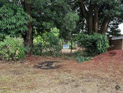 LOTE DE TERRENO URBANO AMPLO E MURADO EM AMAMBAI - MS