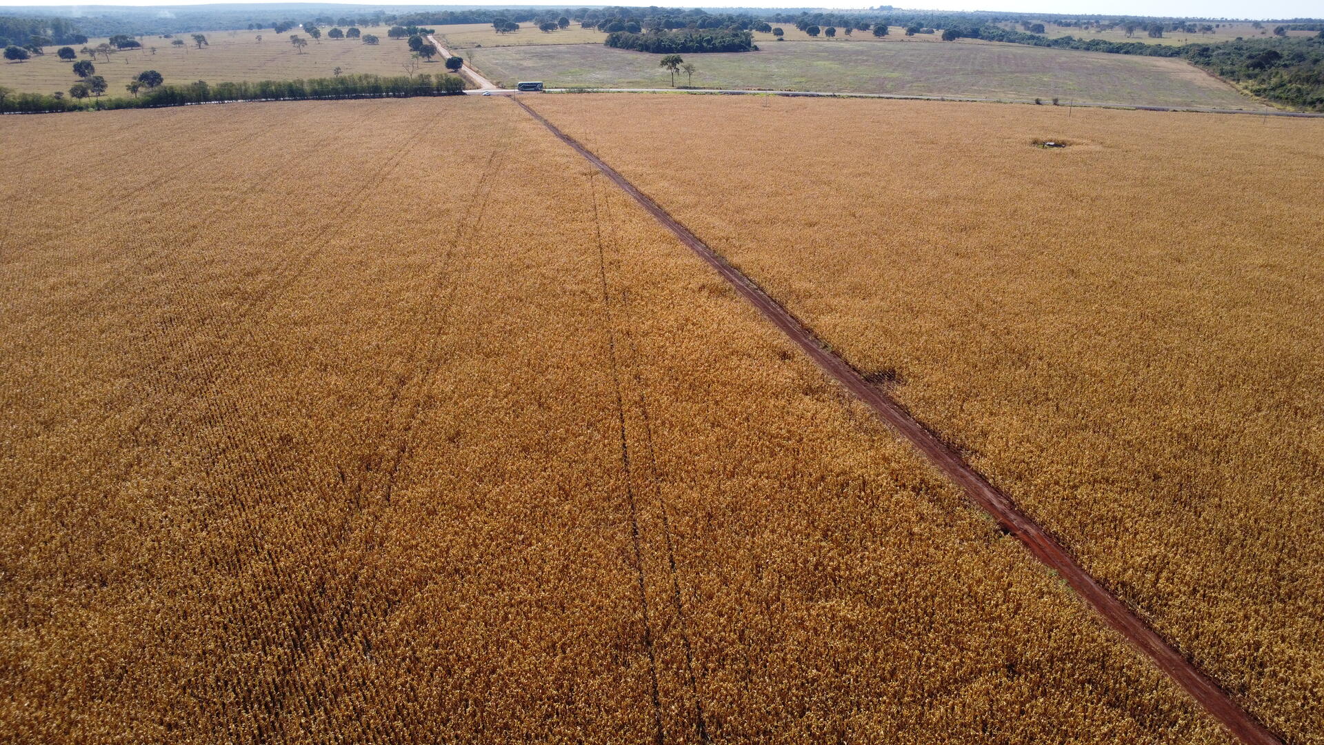 Capa do leilão ID 259