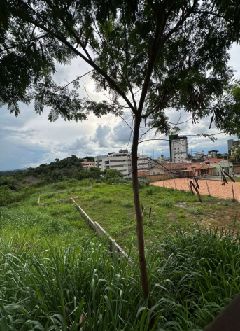 Terreno no Parque Brasiléia (foto 6 de 6)