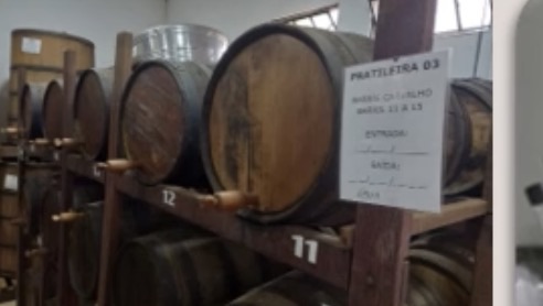 Gleba com 1 quarto (foto 3 de 29)