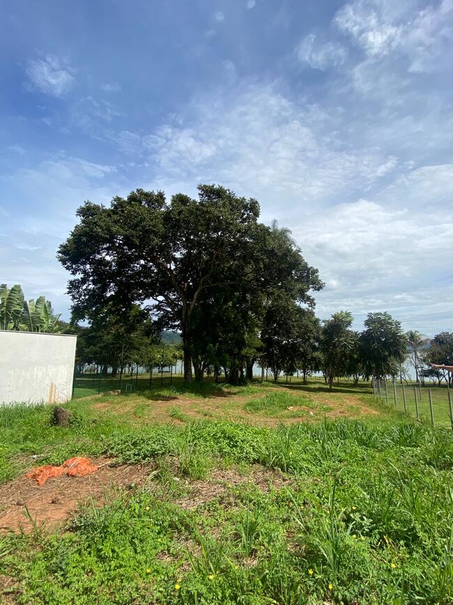 MASSA FALIDA DE TECNAÇO LTDA I LOTE DE 1.295m²  I ACESSO E VISTA PARA A REPRESA DE JAGUARA | COND. RESIDENCIAL ENSEADA DA FRONTEIRA - RIFAINA/SP - Livre e desembaraçado de ônus - Parcelamento 30x