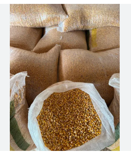 Capa do leilão ID 1111