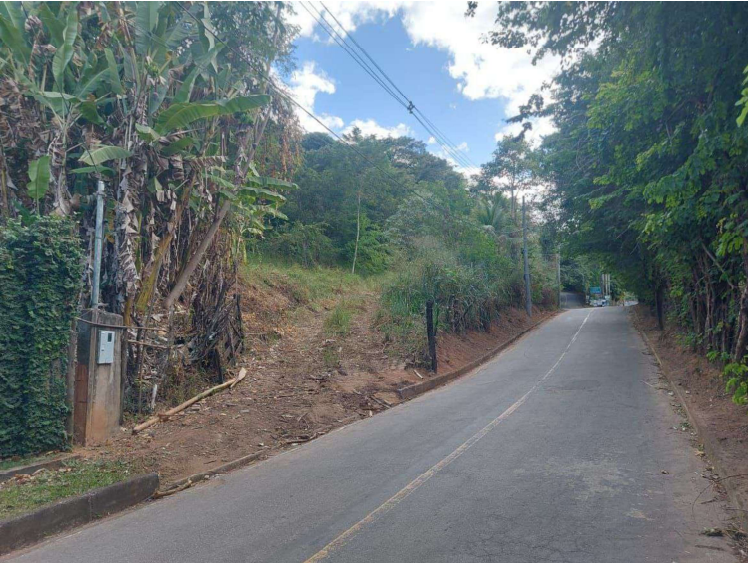 Capa do leilão ID 1119